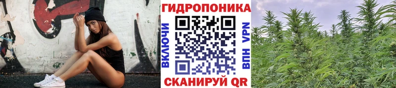наркота  Каменск-Шахтинский  Бошки Шишки план 